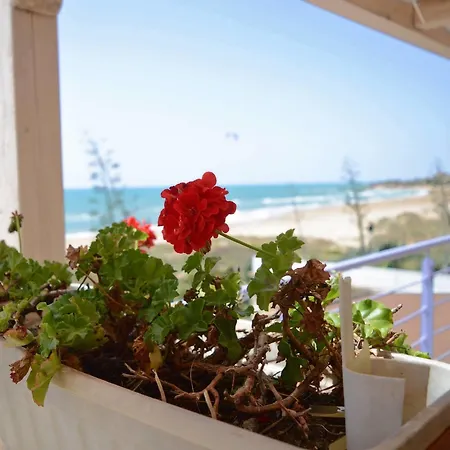Mar & Sol Hotel