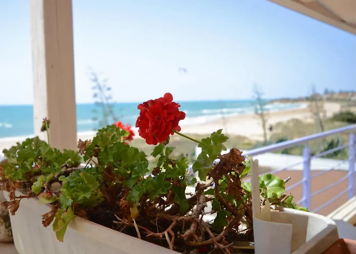 Mar&sol Hotell